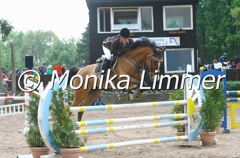 104M6950_e_Latina_Stil L.JPG